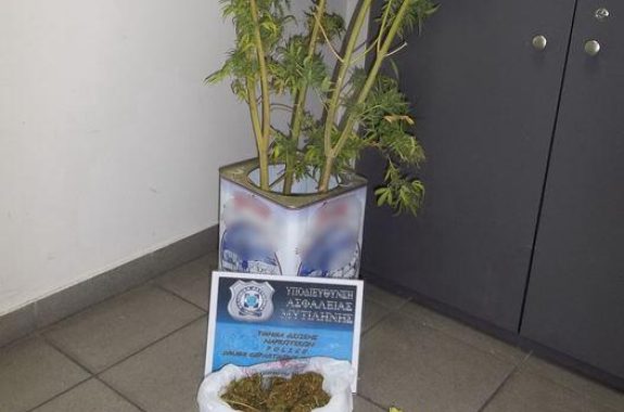 Καλλιεργητής χασίς στη Θερμή Λέσβου