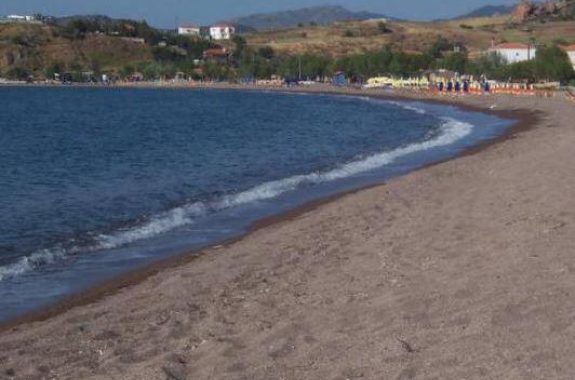 Καθάρισαν την παραλία στην Άναξο