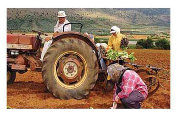 Ίδιο καθεστώς αγροτικών επιδοτήσεων και το 2013 