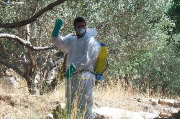 Δακοκτόνοι: Στη δικαιοσύνη για τα οφειλόμενα