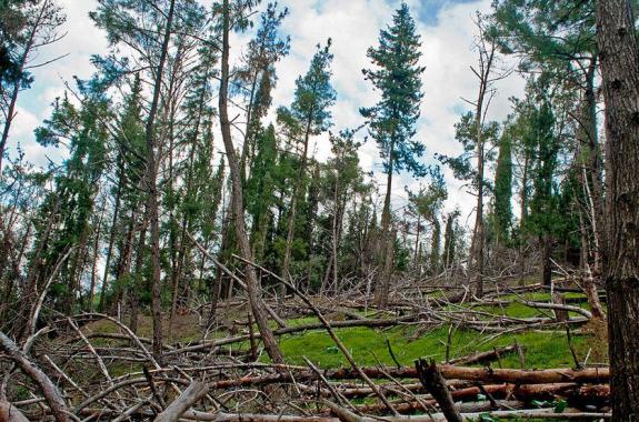 Επίσκεψη ΣΥΡΙΖΑ-ΕΚΜ στη Διεύθυνση Δασών ν. Λέσβου