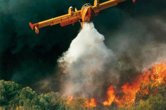 Ανακοίνωση από το Σύλλογο εργαζομένων ΑΔΑ για την προστασία του δασικού πλούτου