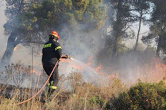 Στάχτη έγιναν 70 στρέμματα στην Άγρα 