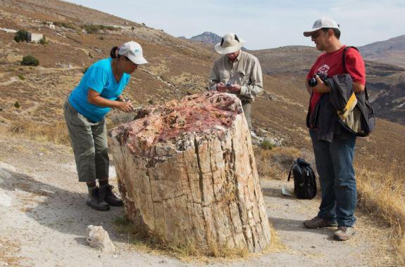Σεμινάριο επιμόρφωσης: Γεωπάρκο Λέσβου  και  τουριστική ανάπτυξη