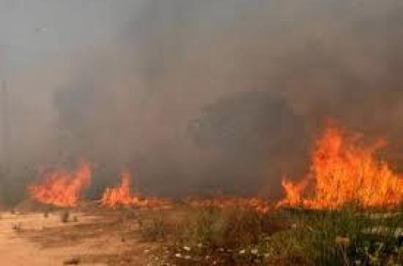 Κάηκαν 20 στρέμματα στη Νυφίδα Πολιχνίτου