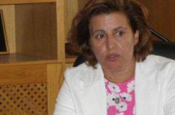 Δραστηριότητες Χ.Καλογήρου