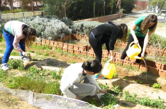 Δημοτικός Λαχανόκηπος στη Μυτιλήνη για 100 άπορες οικογένειες 