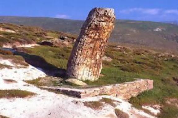 Με τον Ορειάς εκπαιδευτική πεζοπορία στο Απολιθωμένο Δάσος