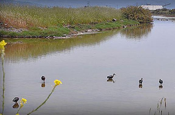 Νέος νόμος για την προστασία των μικρών νησιωτικών υγροτόπων.- Σημαντικό βήμα, αλλά είναι αρκετό;