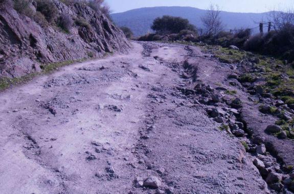Γ.Πάλλης: Τραγική η κατάσταση του αγροτικού δικτύου - Σε θερινή ραστώνη ο Δήμος