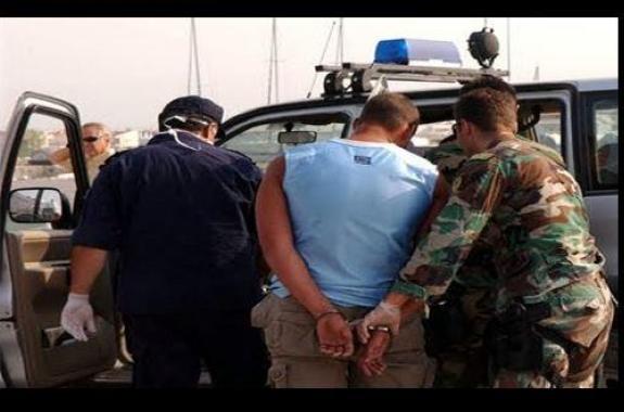 Συνελήφθησαν 37χρονος διακινητής και 15 αλλοδαποί στη περιοχή Τσιχράντα 