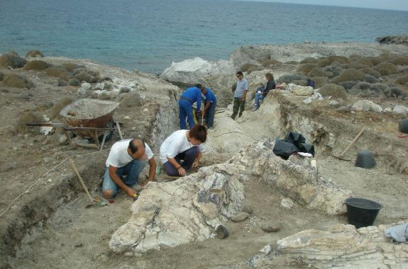 Νέα εντυπωσιακά ευρήματα στο Απολιθωμένο Δάσος Νησίδας Νησιώπης 