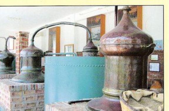 Π. Βογιατζής και ποτοποιοί Λέσβου «κέρασαν»  τα προβλήματα του κλάδου στον  Υφυπουργό Οικονομικών