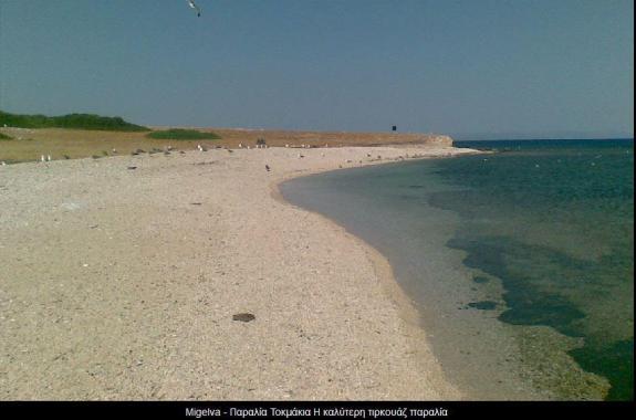 Πωλούνται τα Τοκμάκια; - Ερώτηση Παύλου Βογιατζή στον Υπουργό Οικονομικών