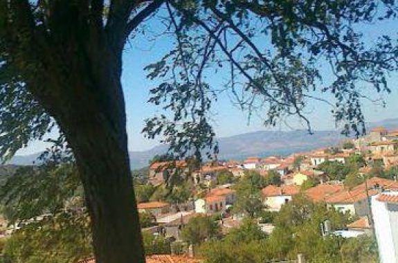 Βασιλικά Lesvosnews