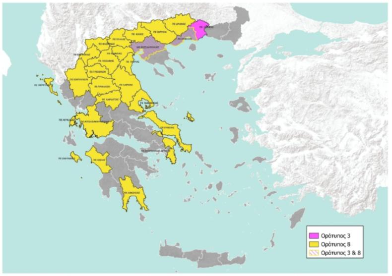 καταρροϊκός